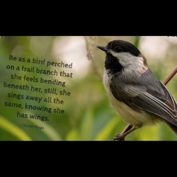 “Three Birds on a Branch” 925 Sterling Silver Friends Family Nature Hippie Studs - Picture 8 of 8